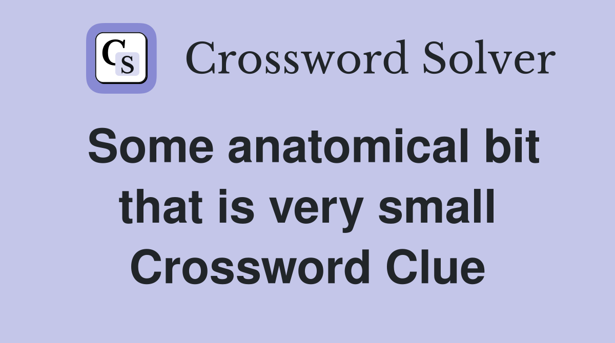 Some anatomical bit that is very small Crossword Clue