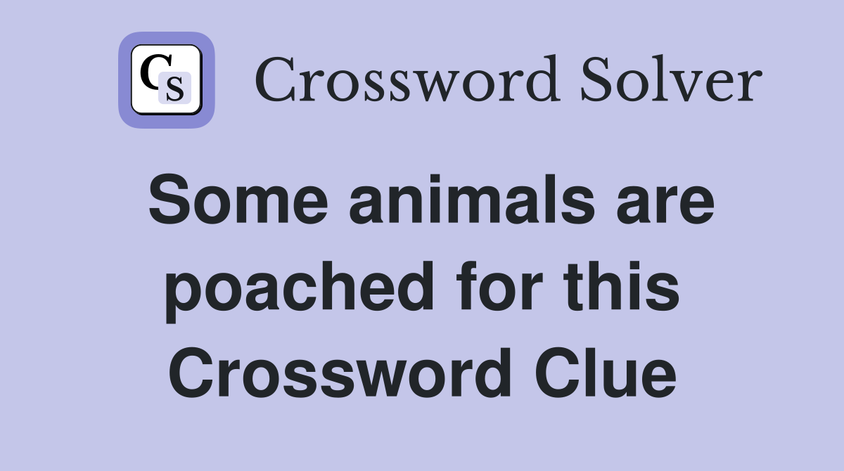Some animals are poached for this Crossword Clue