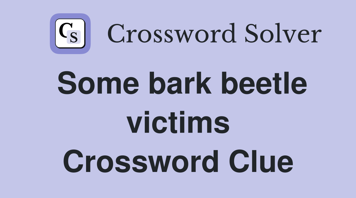 Some bark beetle victims Crossword Clue
