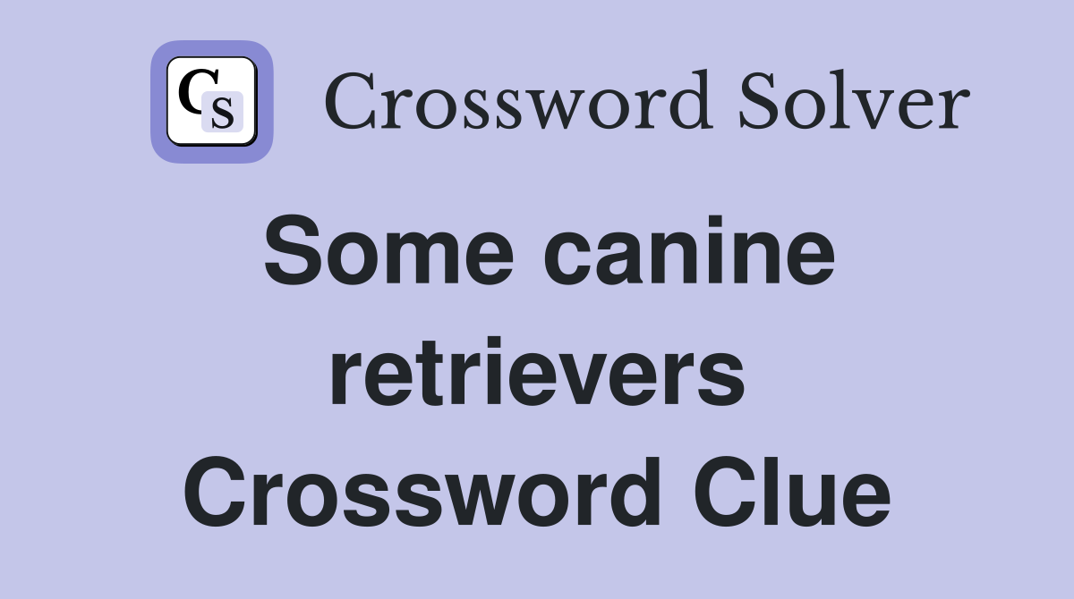 Some canine retrievers Crossword Clue