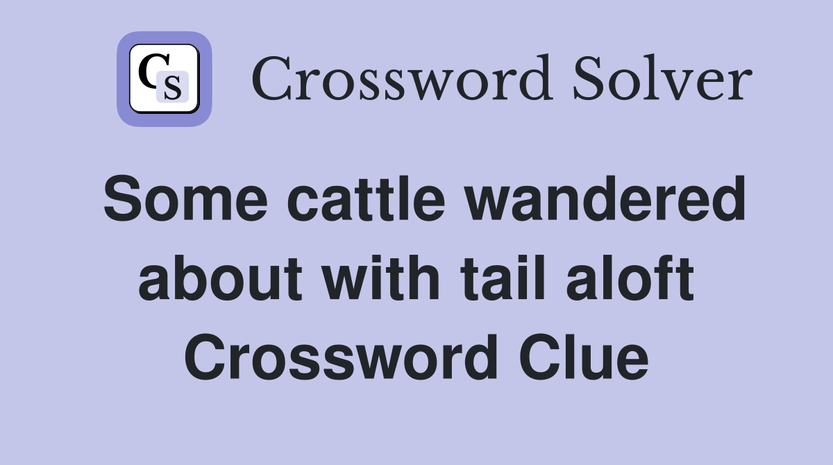 Some cattle wandered about with tail aloft Crossword Clue