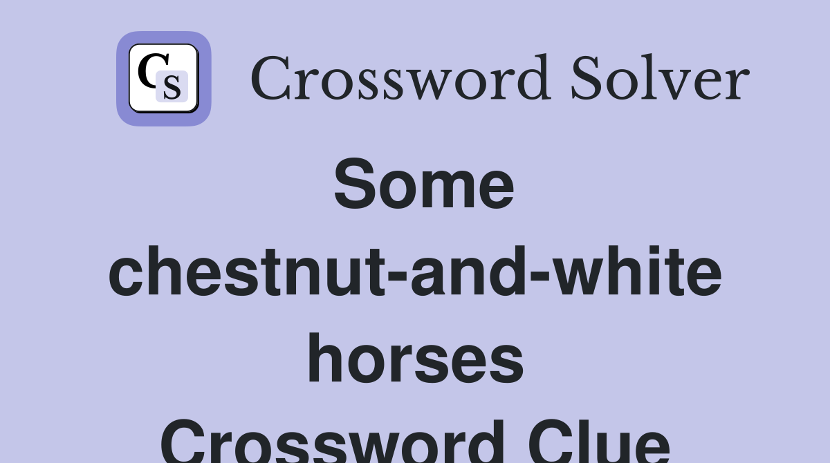 Some chestnut-and-white horses Crossword Clue