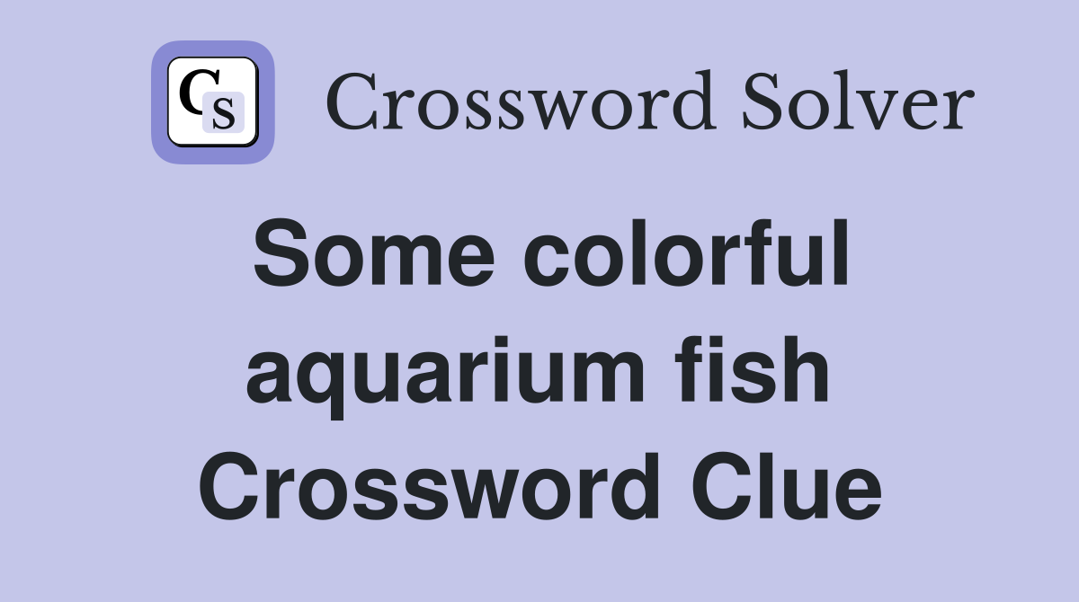 Some colorful aquarium fish Crossword Clue