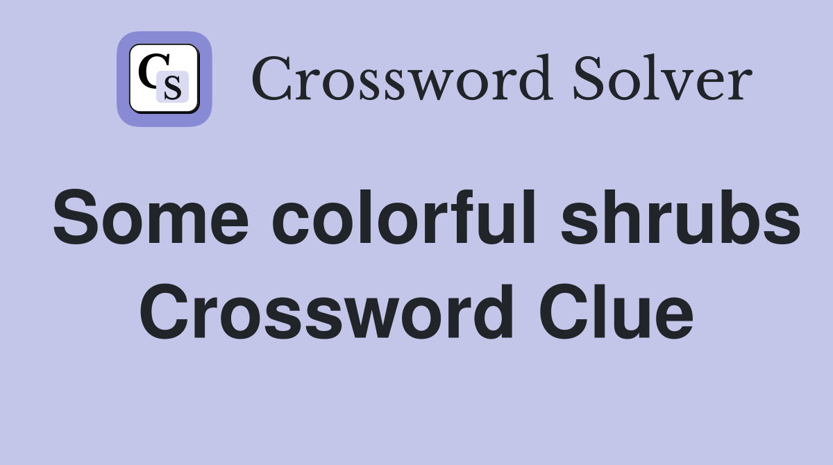 Some colorful shrubs Crossword Clue
