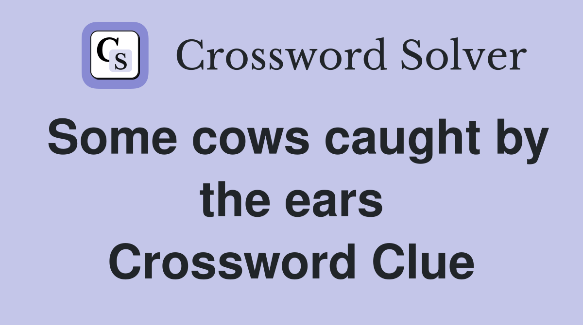 Some cows caught by the ears Crossword Clue