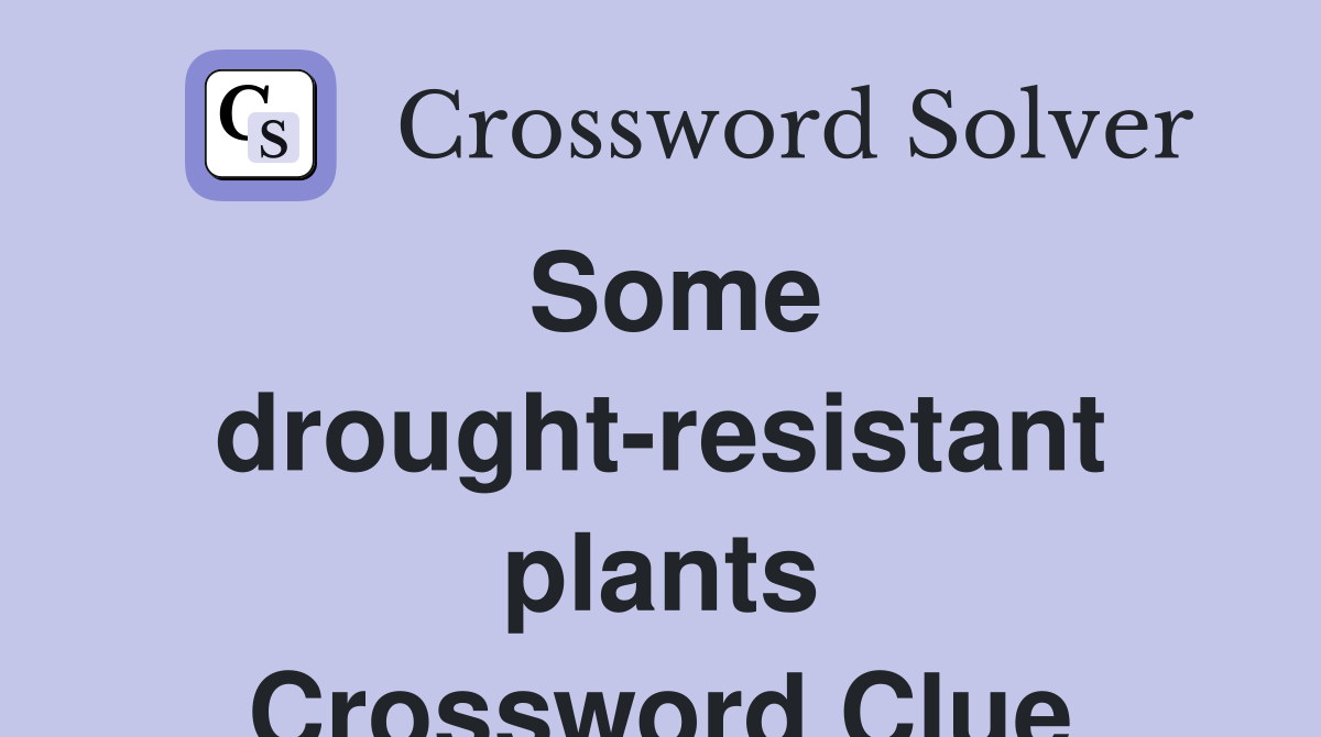 Some drought-resistant plants Crossword Clue
