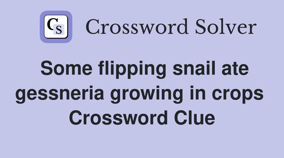 Some flipping snail ate gessneria growing in crops  Crossword Clue