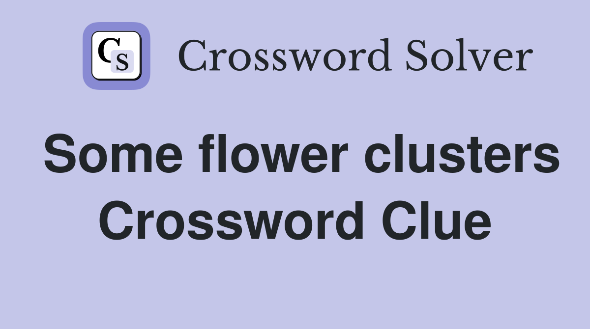 Some flower clusters Crossword Clue