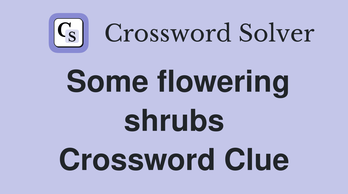 Some flowering shrubs Crossword Clue