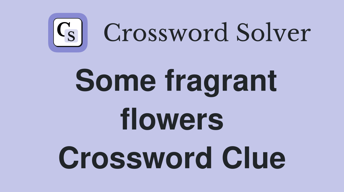 Some fragrant flowers Crossword Clue