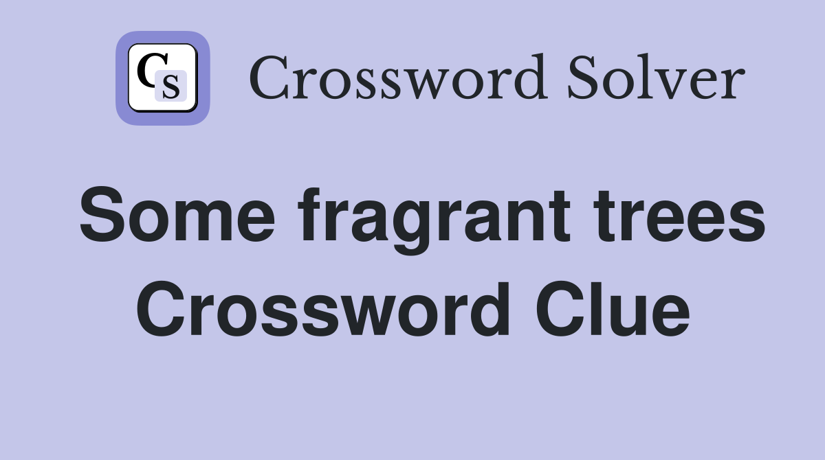 Some fragrant trees Crossword Clue