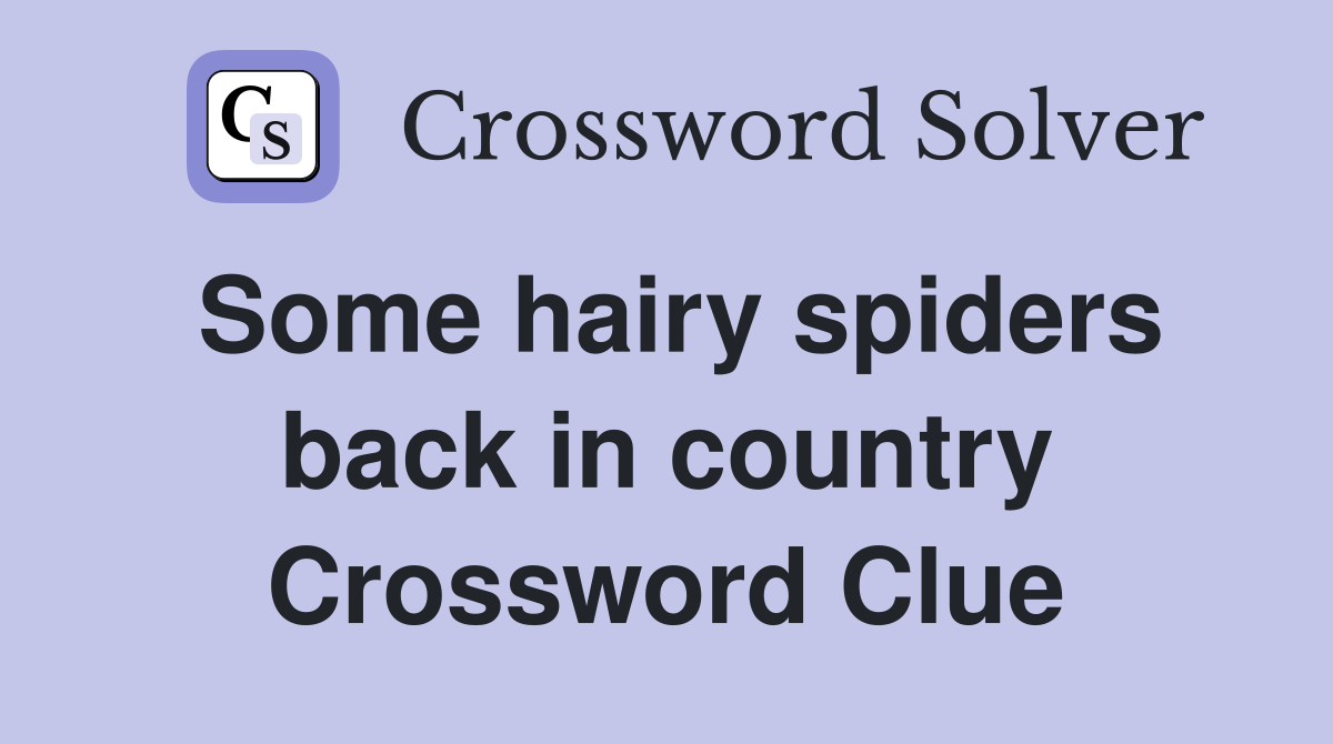 Some hairy spiders back in country Crossword Clue