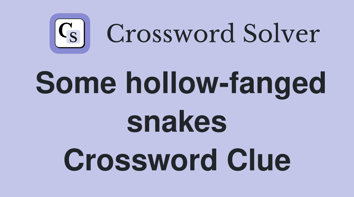 Some hollow-fanged snakes Crossword Clue