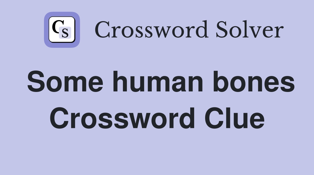 Some human bones Crossword Clue