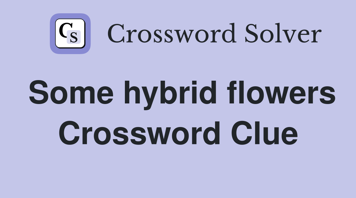 Some hybrid flowers Crossword Clue