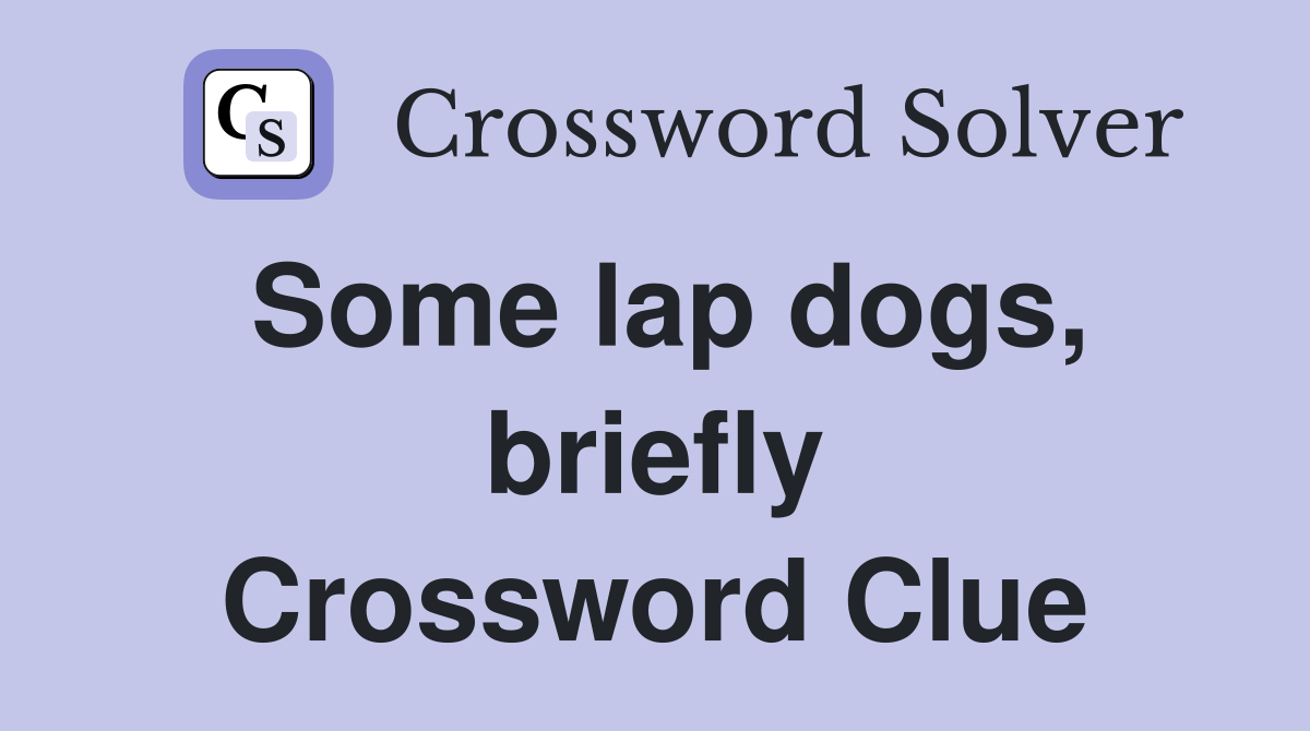 Some lap dogs, briefly Crossword Clue