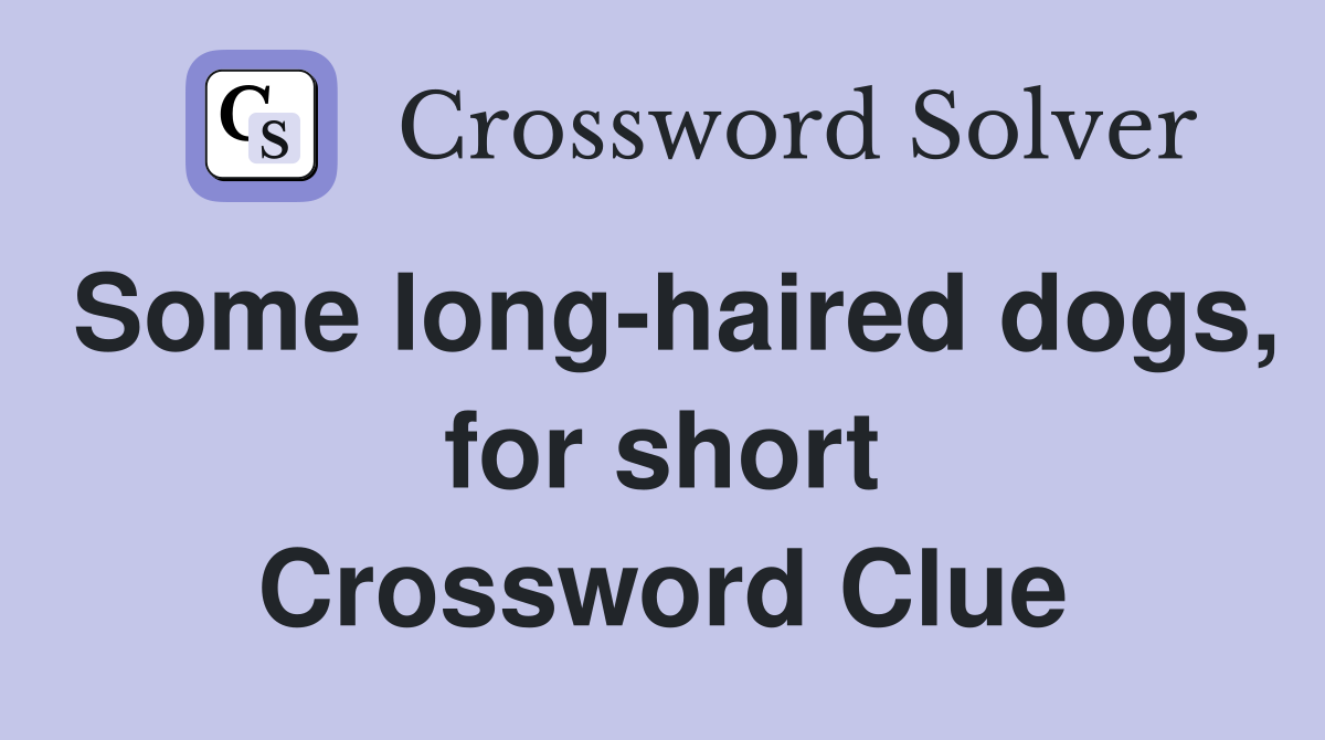 Some long-haired dogs, for short Crossword Clue