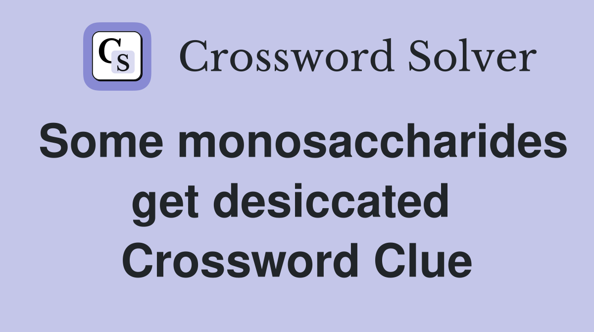 Some monosaccharides get desiccated  Crossword Clue
