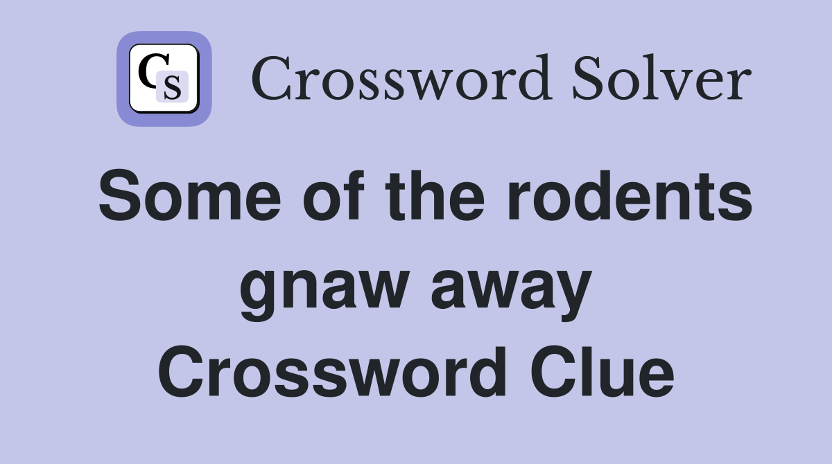 Some of the rodents gnaw away Crossword Clue