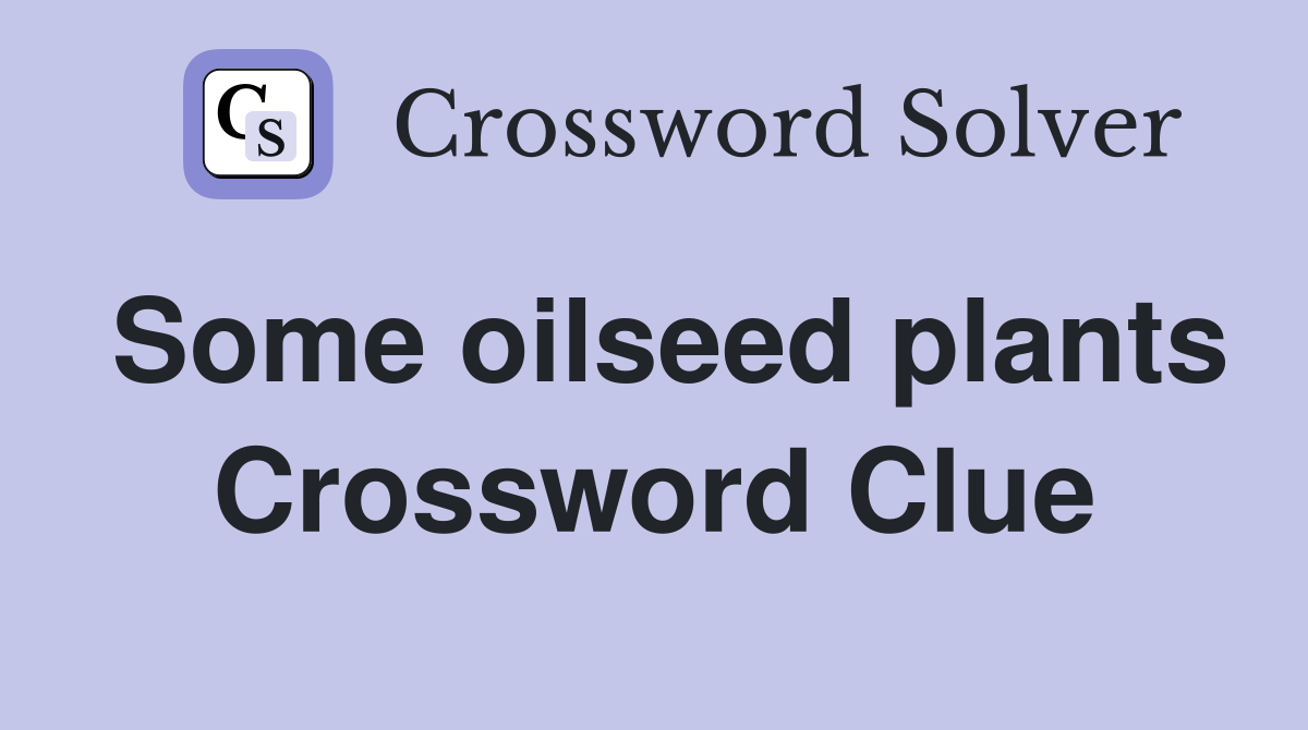 Some oilseed plants Crossword Clue