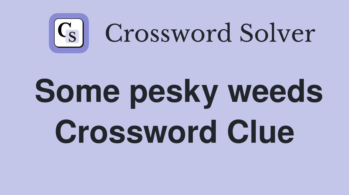 Some pesky weeds Crossword Clue