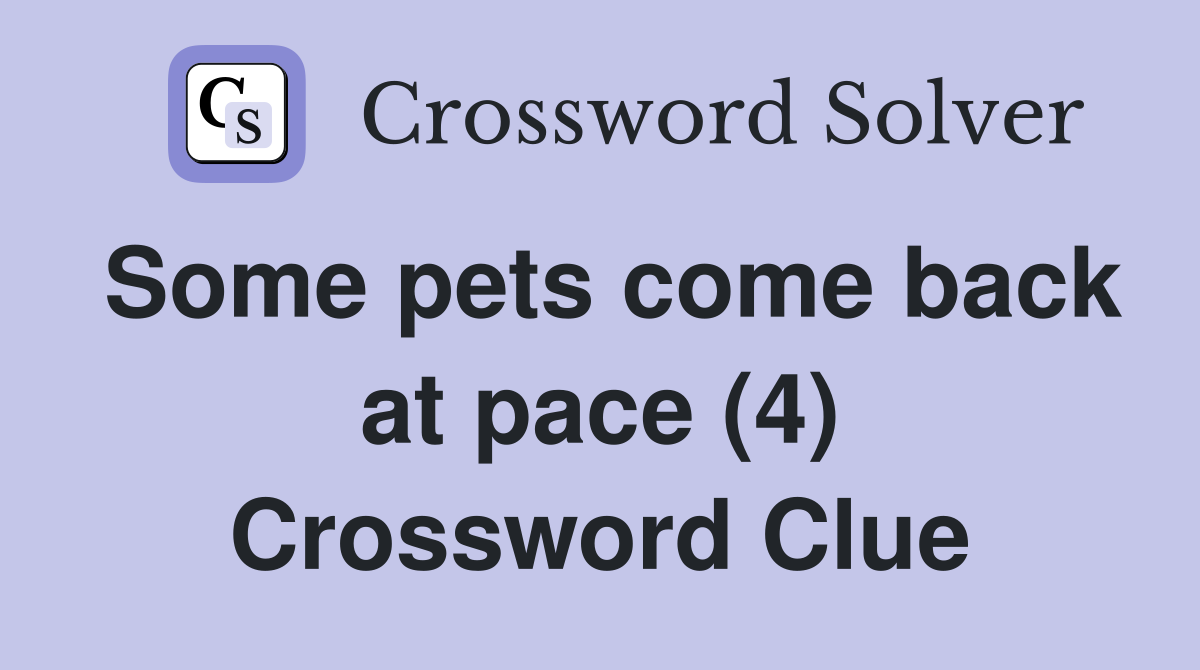 Some pets come back at pace (4) Crossword Clue
