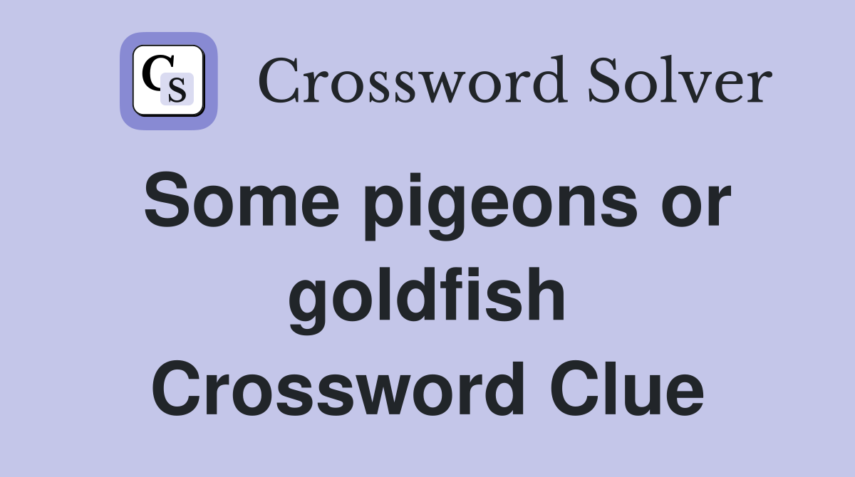 Some pigeons or goldfish Crossword Clue