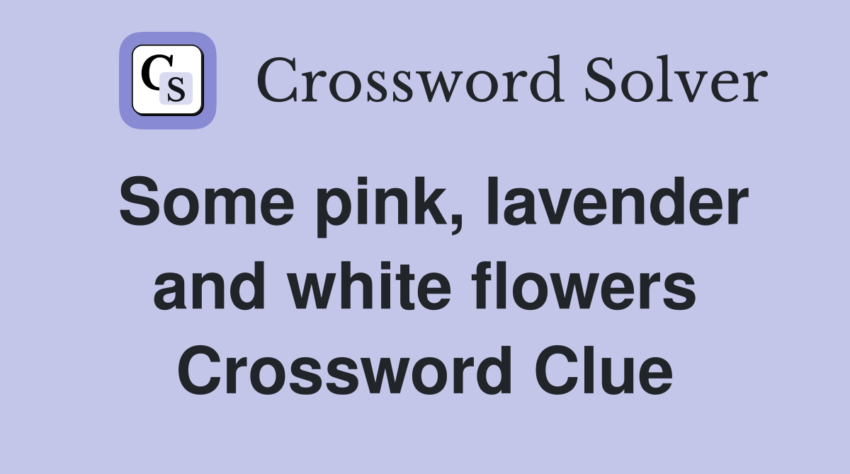 Some pink, lavender and white flowers Crossword Clue