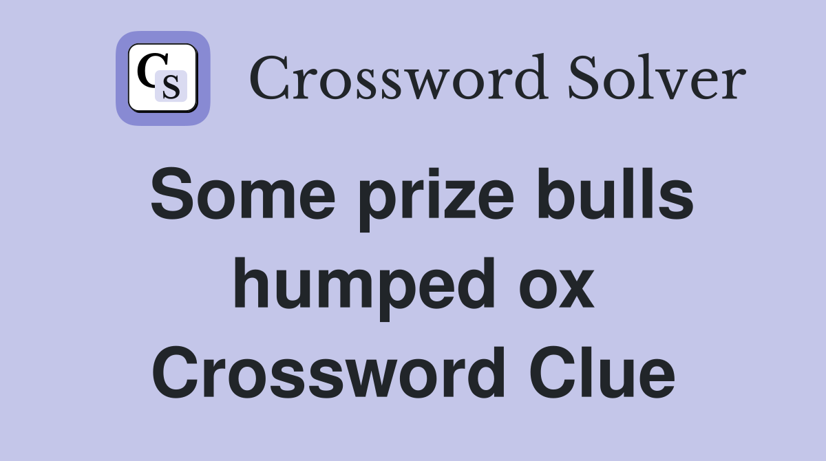 Some prize bulls humped ox Crossword Clue