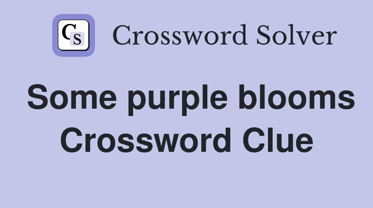 Some purple blooms Crossword Clue