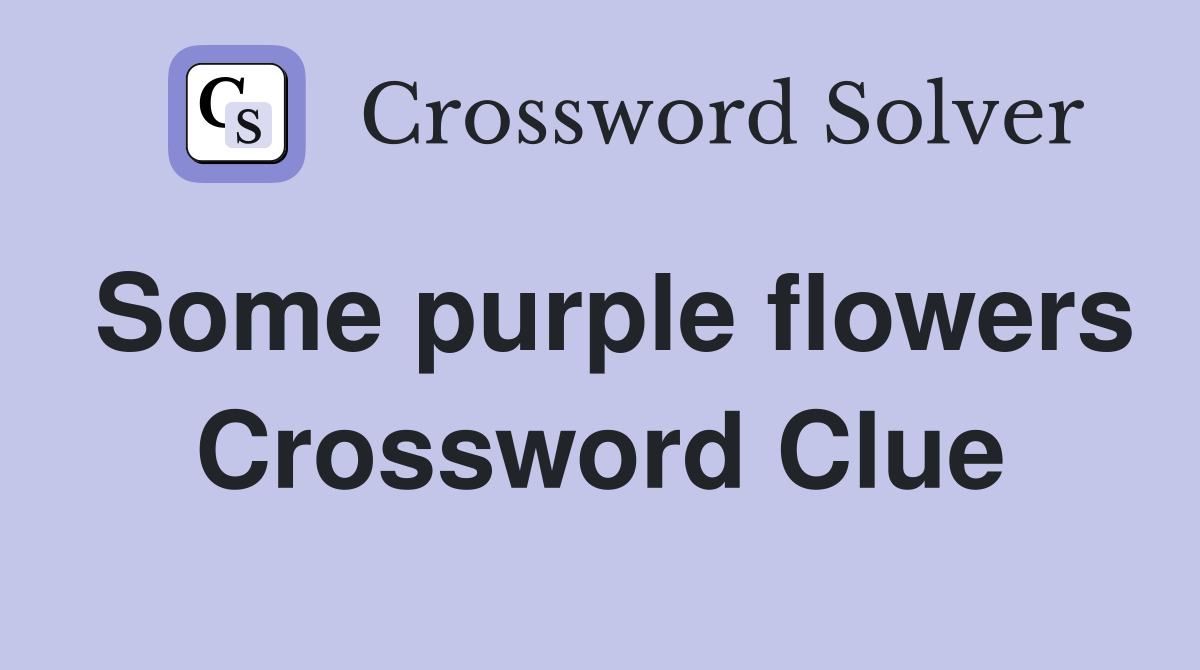 Some purple flowers Crossword Clue