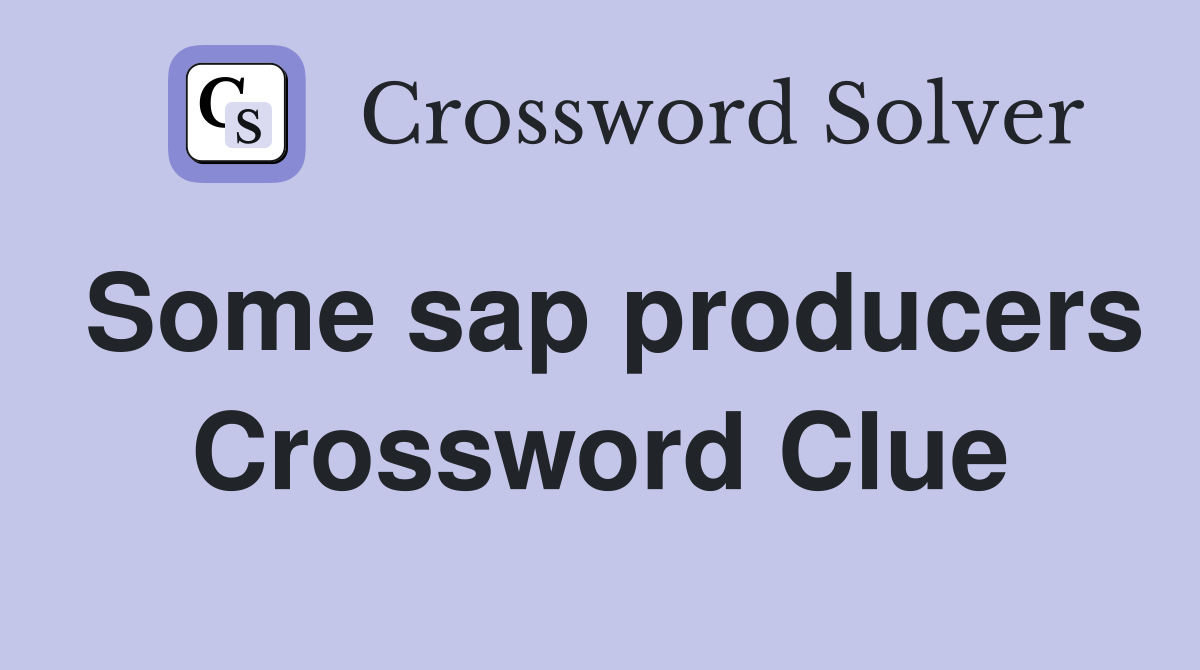 Some sap producers Crossword Clue