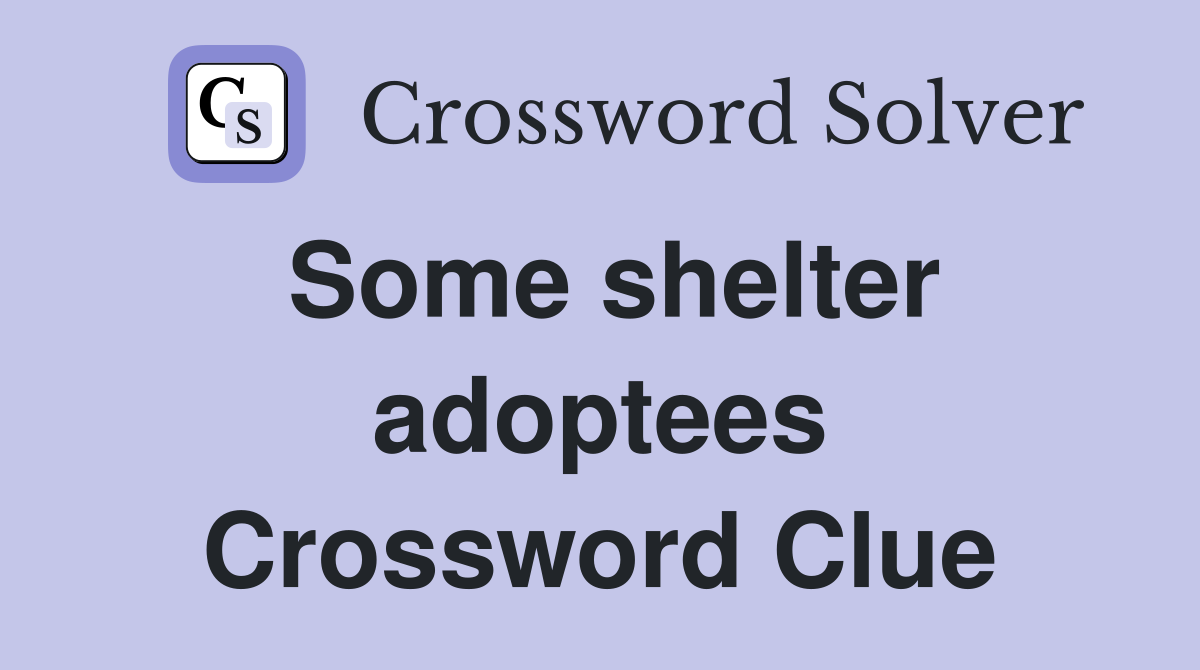 Some shelter adoptees Crossword Clue
