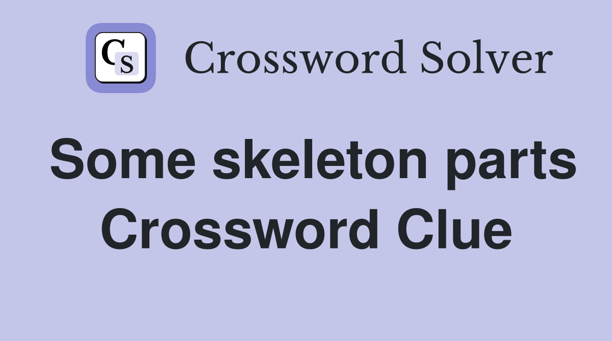 Some skeleton parts Crossword Clue