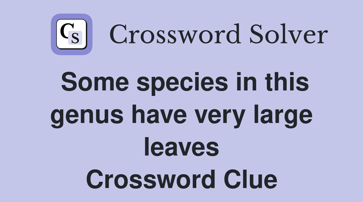 Some species in this genus have very large leaves Crossword Clue