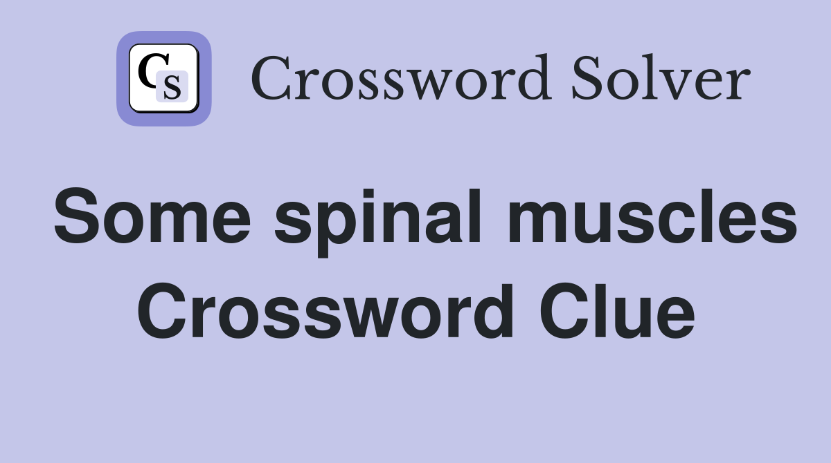 Some spinal muscles Crossword Clue