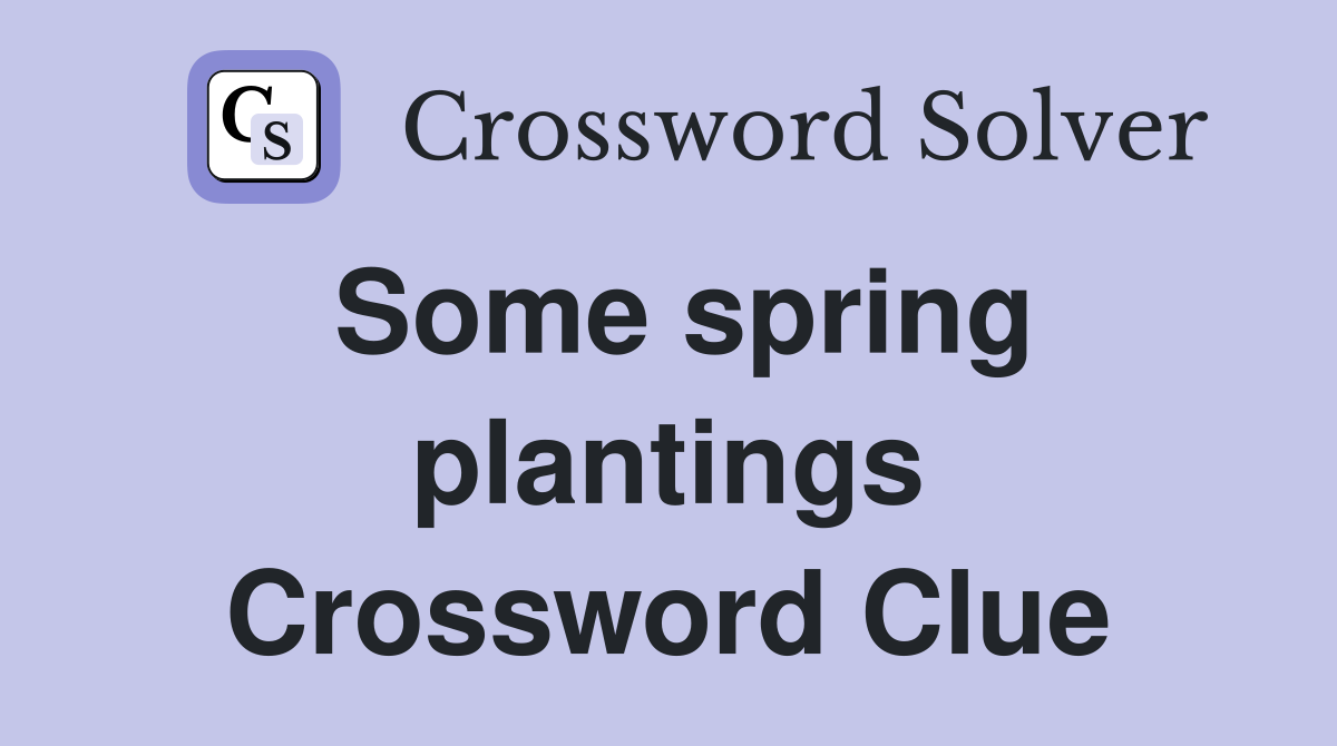 Some spring plantings Crossword Clue