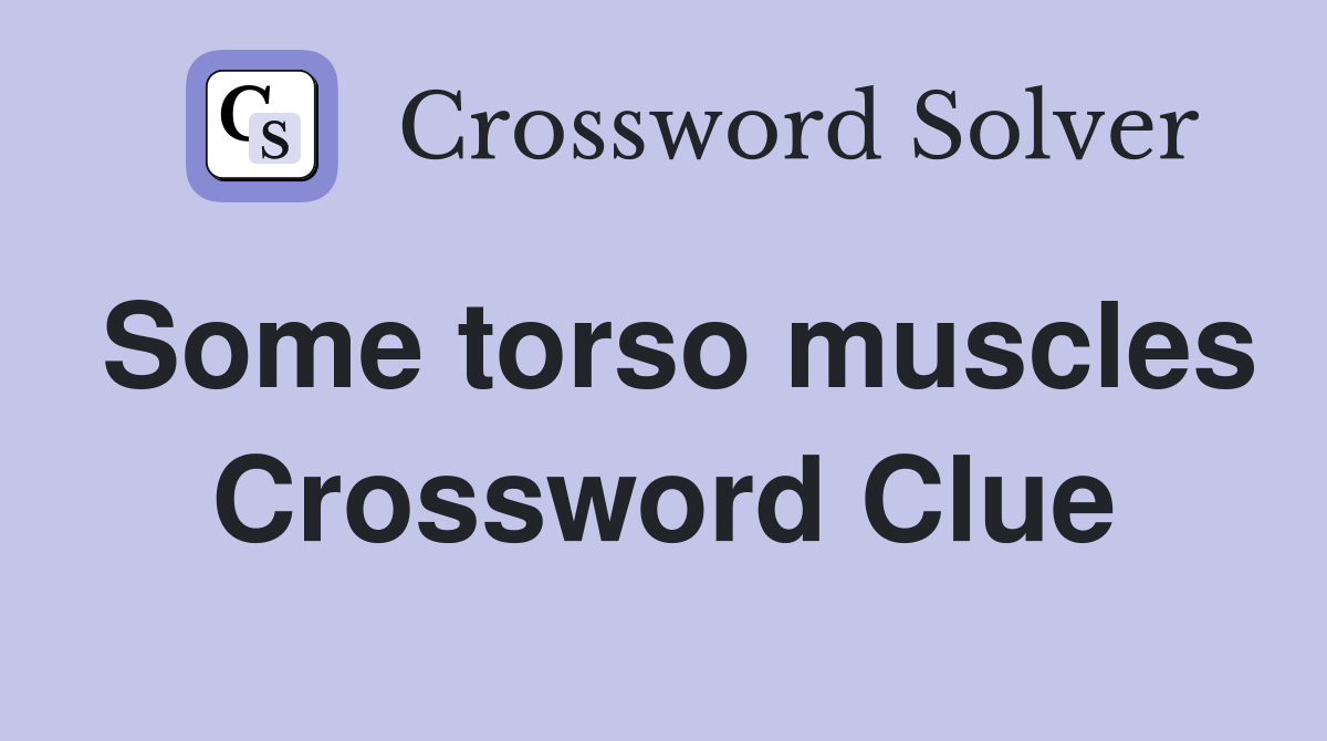 Some torso muscles Crossword Clue