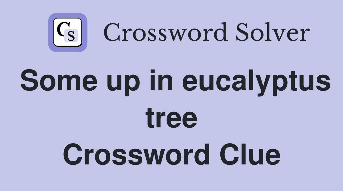 Some up in eucalyptus tree Crossword Clue