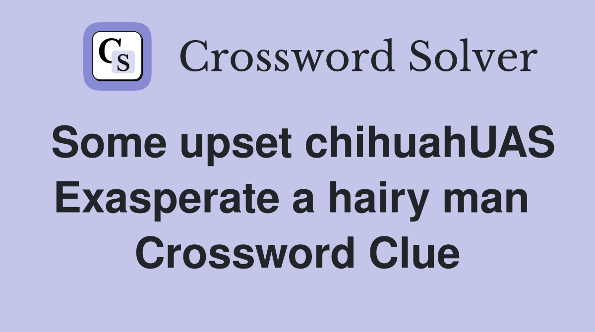 Some upset chihuahUAS Exasperate a hairy man  Crossword Clue