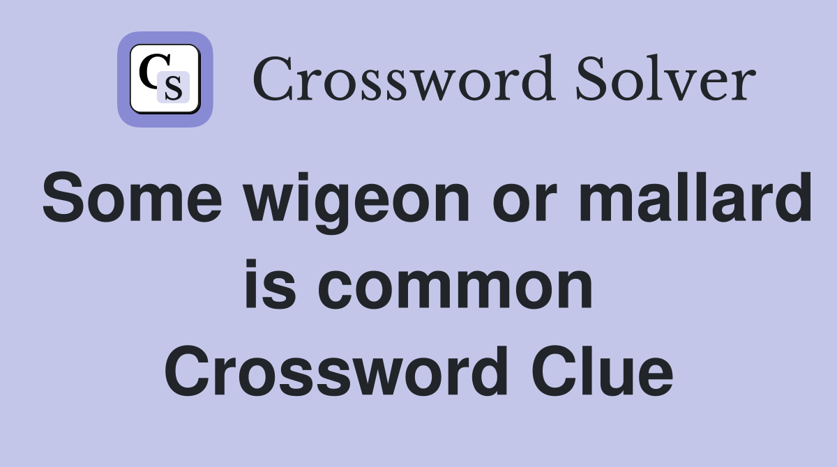 Some wigeon or mallard is common Crossword Clue