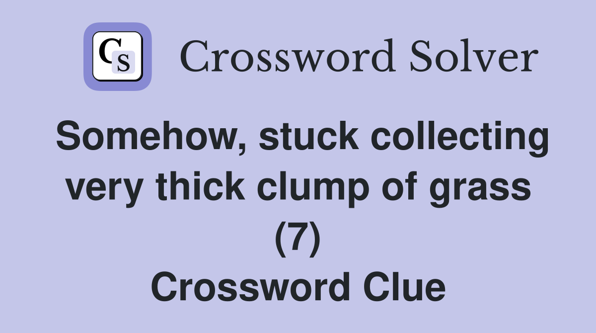 Somehow, stuck collecting very thick clump of grass (7) Crossword Clue