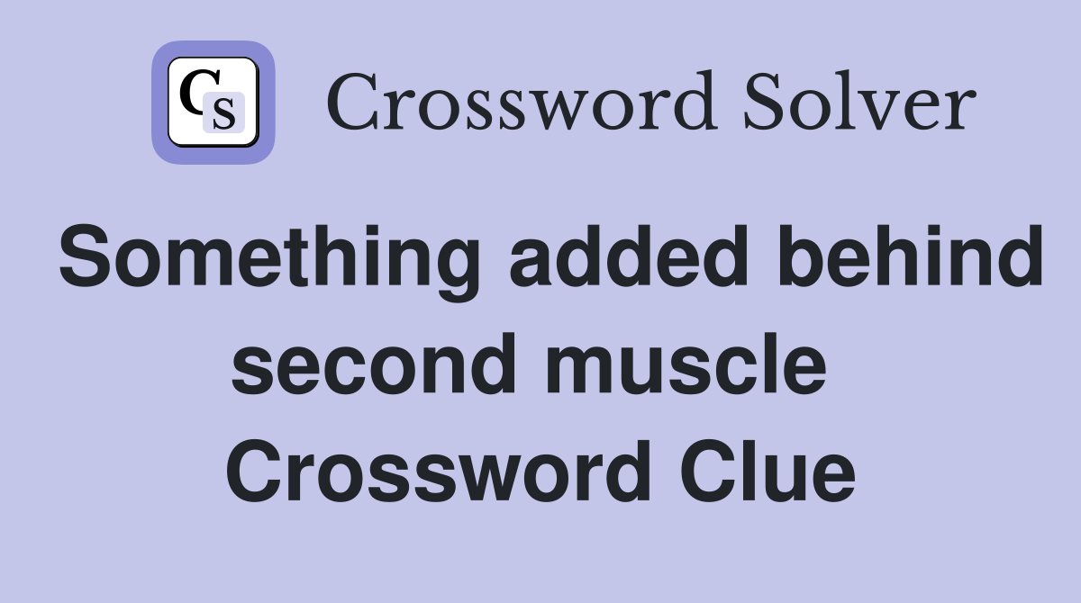 Something added behind second muscle  Crossword Clue