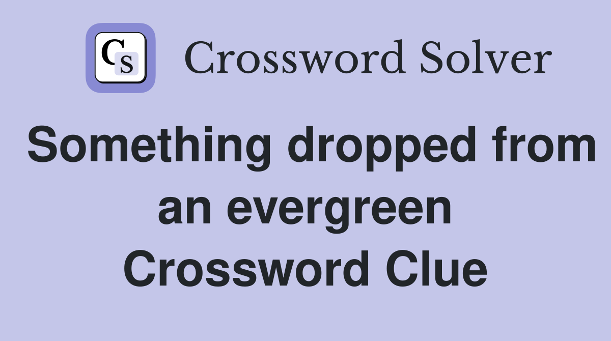 Something dropped from an evergreen Crossword Clue