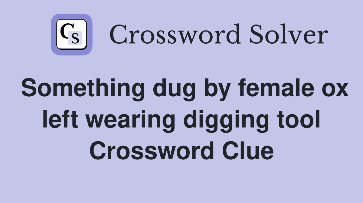 Something dug by female ox left wearing digging tool Crossword Clue