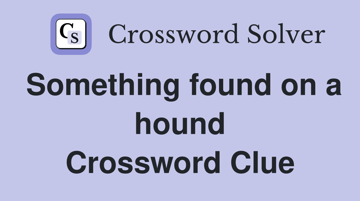 Something found on a hound Crossword Clue