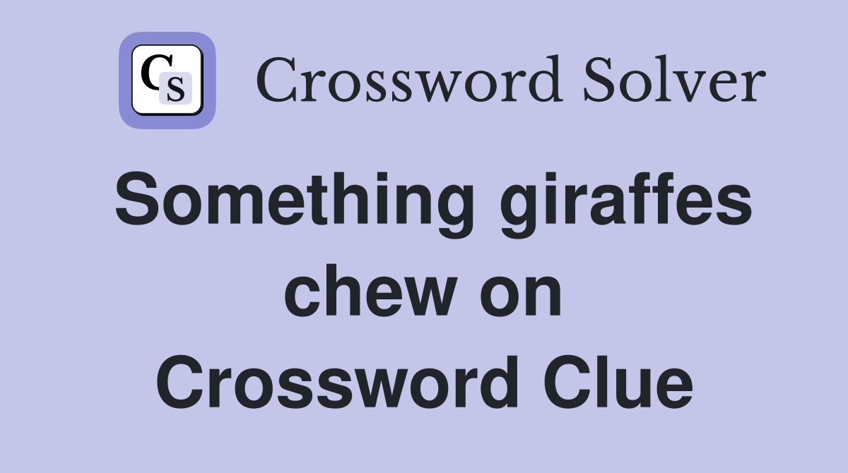 Something giraffes chew on Crossword Clue