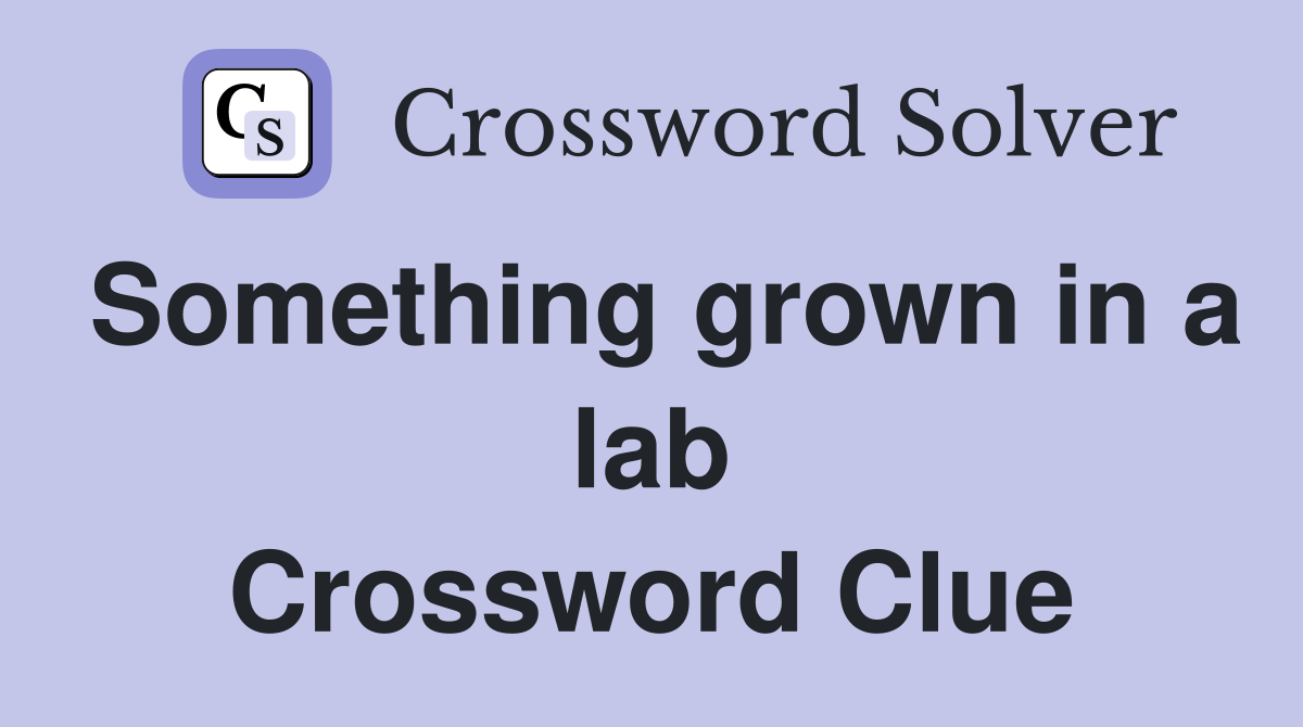 Something grown in a lab Crossword Clue