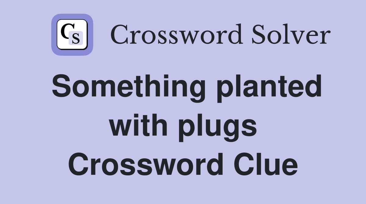 Something planted with plugs Crossword Clue