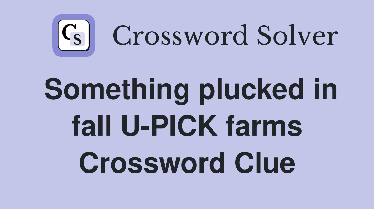 Something plucked in fall U-PICK farms Crossword Clue